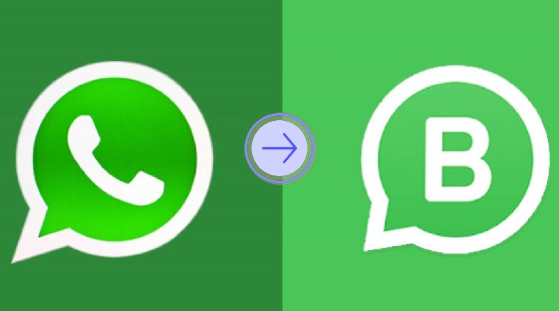 Cómo pasar de WhatsApp a WhatsApp Business